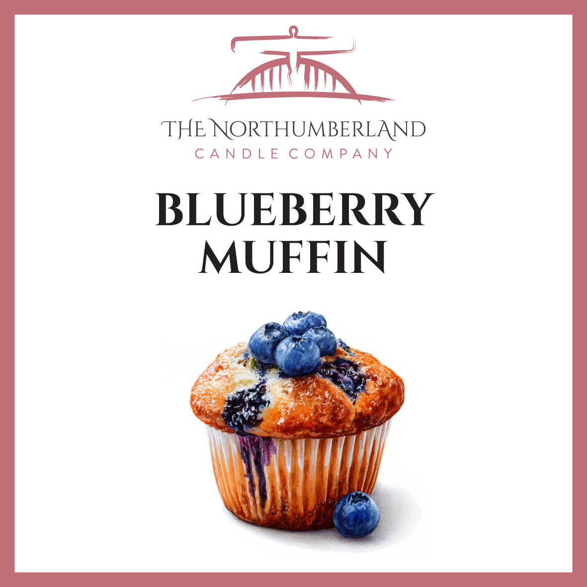 Blueberry Muffin 50g Snap Bar