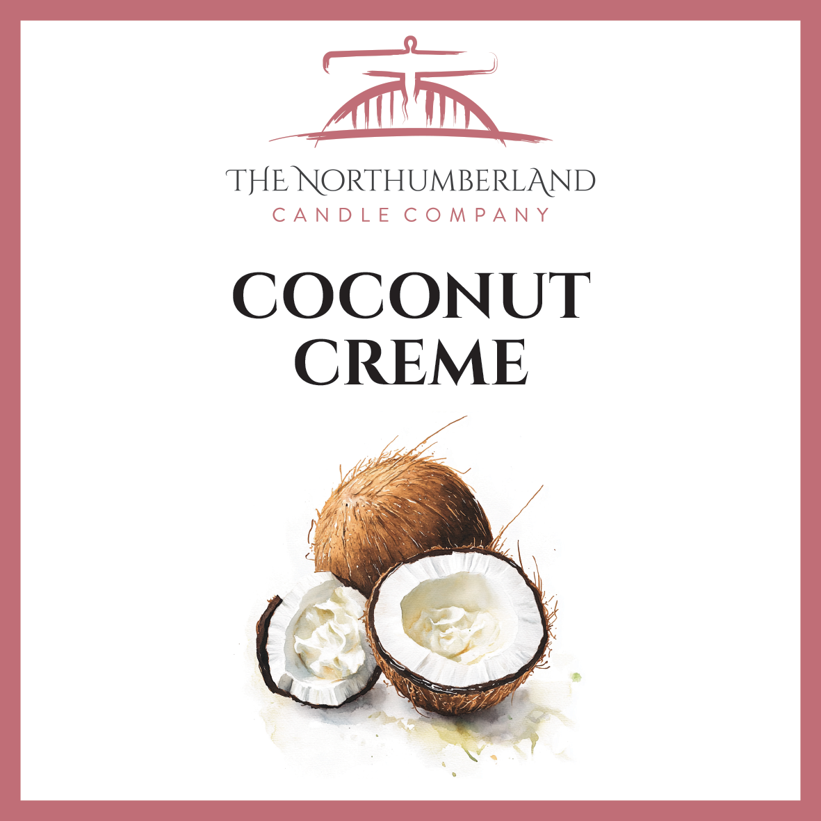 Coconut creme 50g Snap Bar