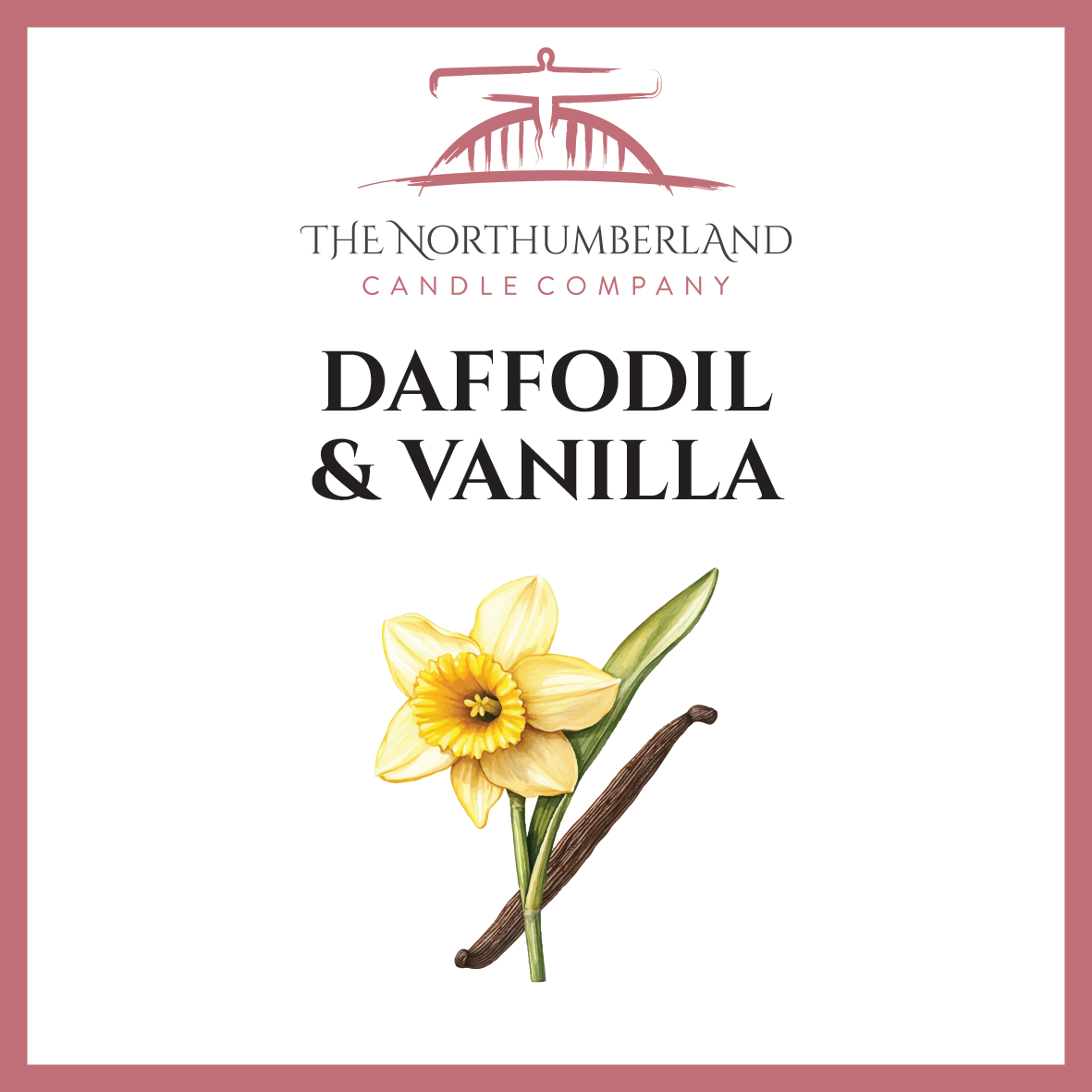 Daffodil & Vanilla 50g Snap Bar