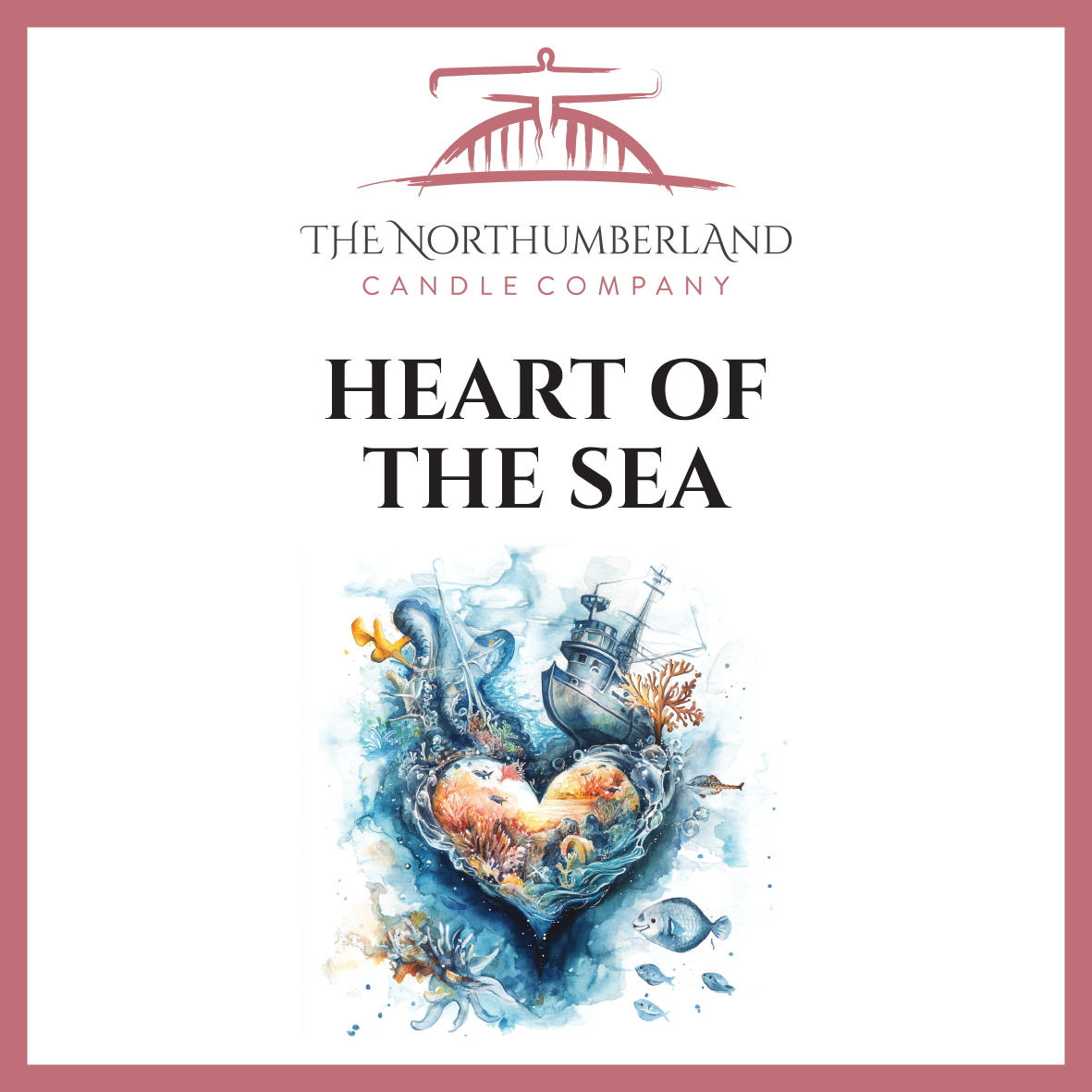 Heart Of The Sea 50g Snap Bar
