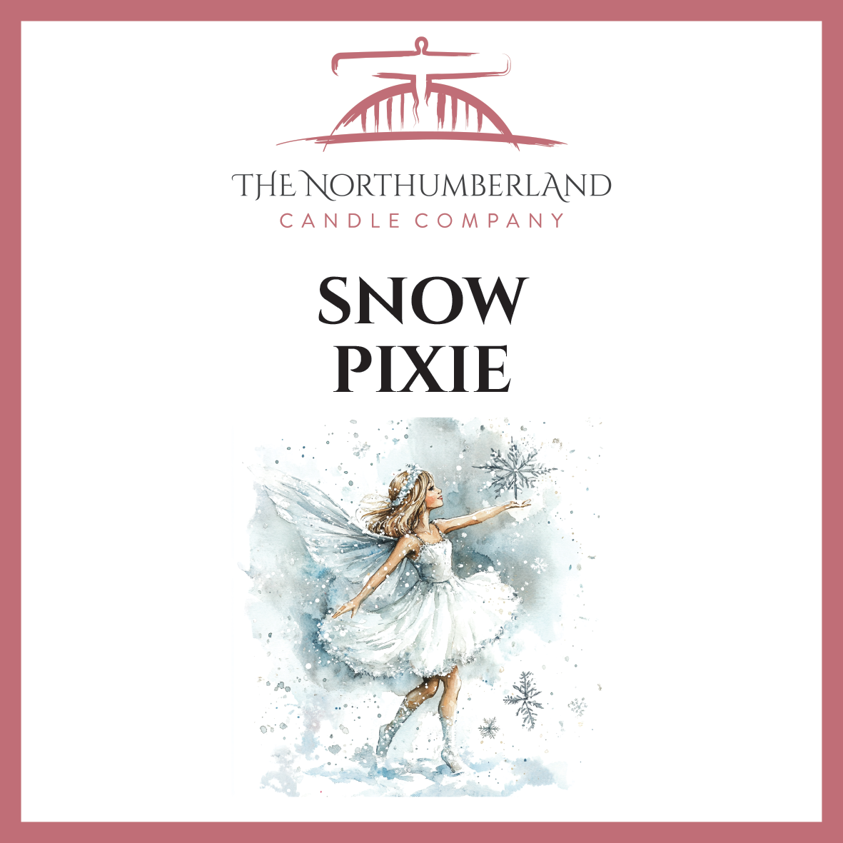 Snow Pixie 50g Snap Bar