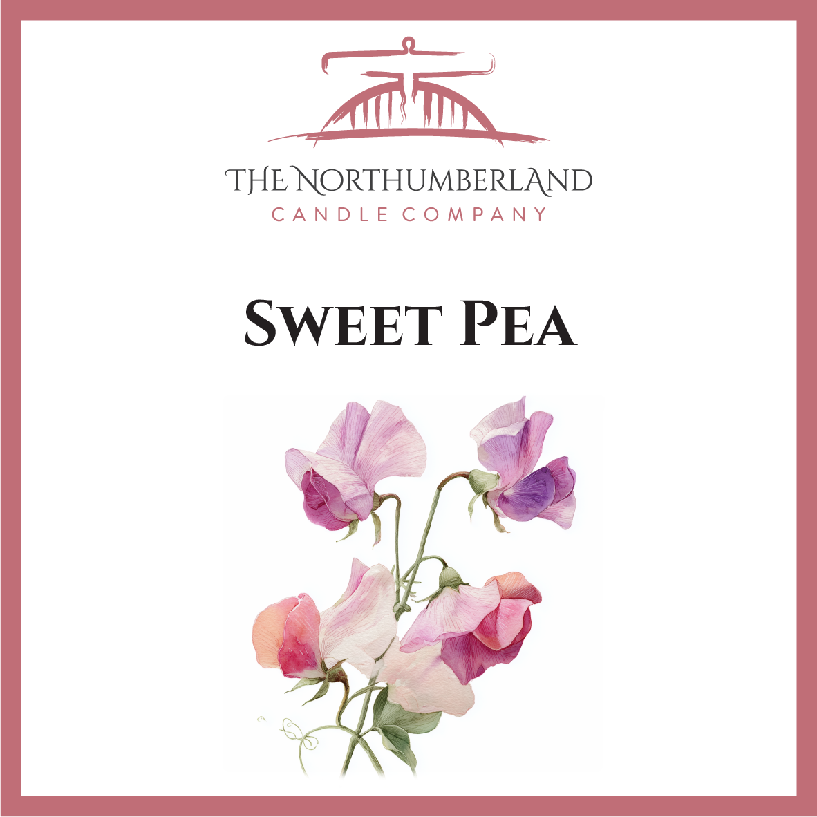 Sweet Pea 50g Snap Bar