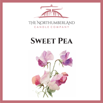 Sweet Pea 50g Snap Bar