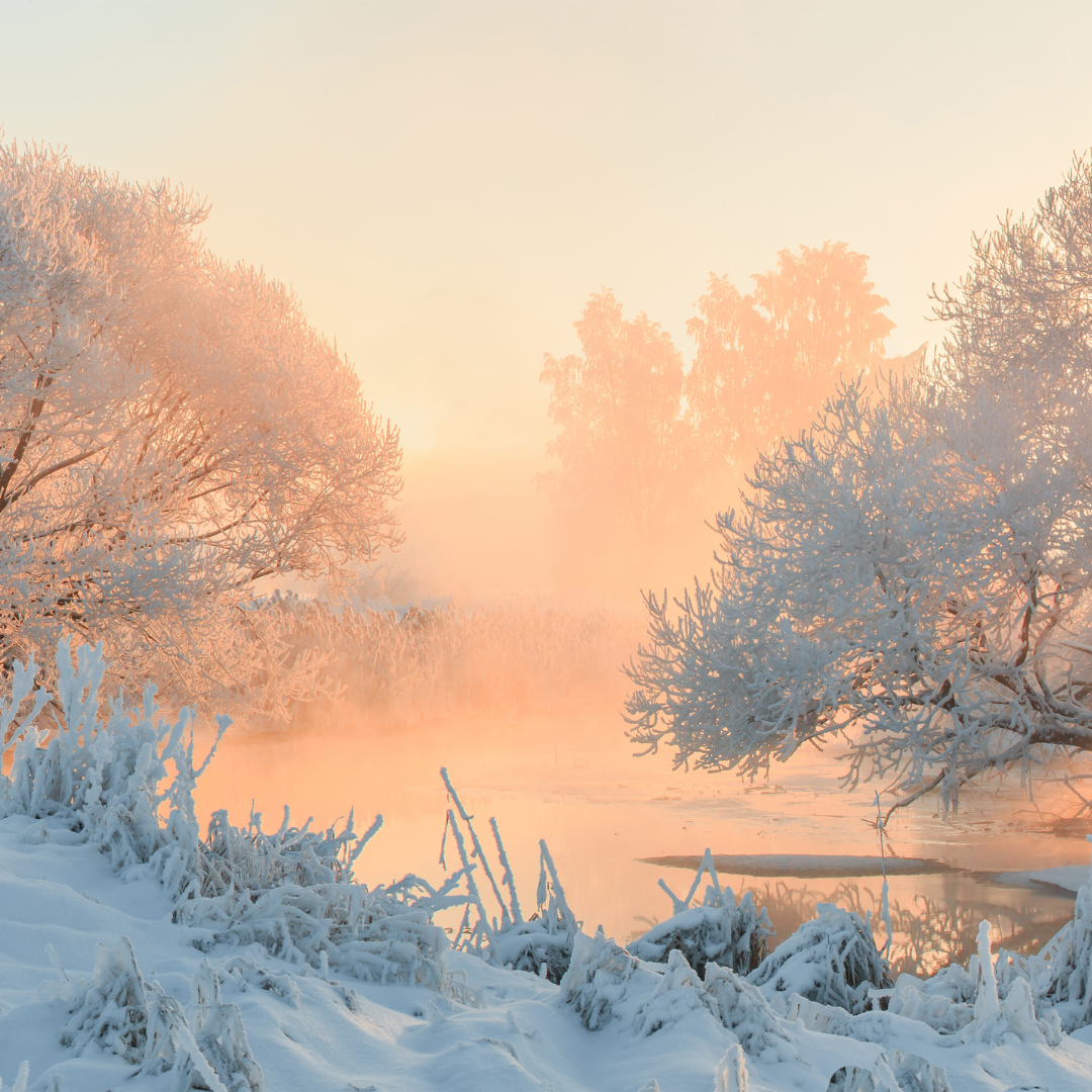 Zoflo Winter Morning Snap Bar