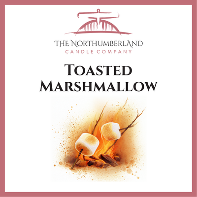 Toasted Marshmallow 50g Snap Bar