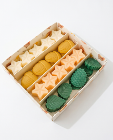 Autumn Wax Melt Selection Box
