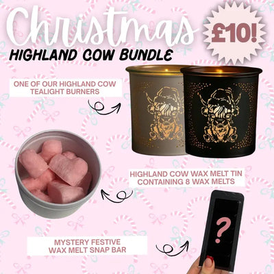 £10 HIGHLAND COW Mystery Christmas Bundle - Includes HIGHLAND COW  Tealight Burner, HIGHLAND COW  Wax Melt Tin, and 1 Wax Melt Snap Bar in Festive Scents