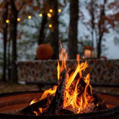 Cracking Log Fire
