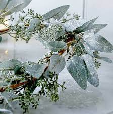 Lenora Frosted Eucalyptus 20g Shot Pot