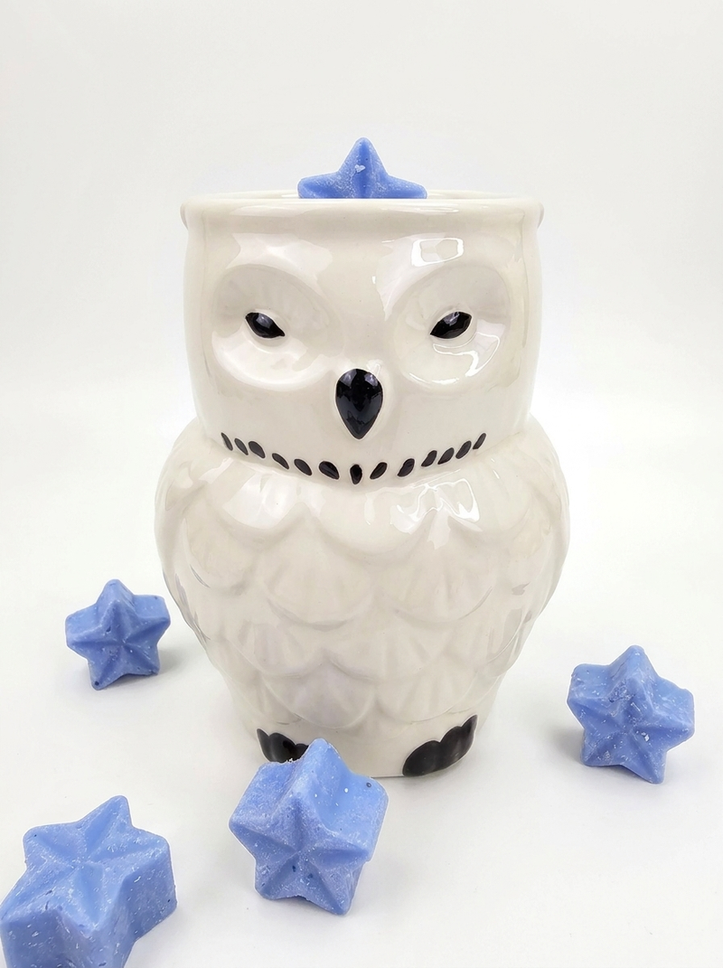 Iridescent Owl Shaped Wax Melt Burner