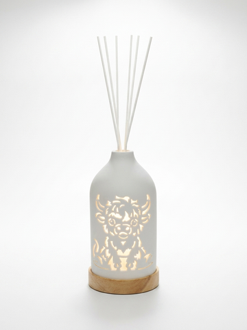 LED Ceramic Air Diffuser