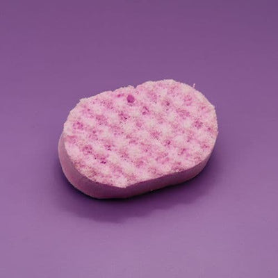 Soap Sponges