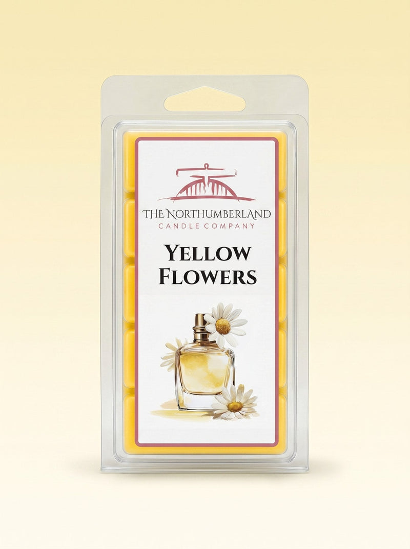 snap-card-daisy-50g-snap-bar.jpg