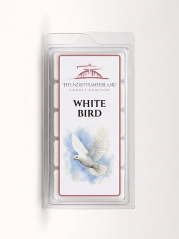 snap-card-dove-50g-snap-bar.jpg