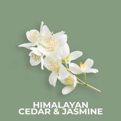 Himalayan Cedar & Jasmine 50g Snap Bar