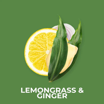 Lemongrass & Ginger 20g Shot Pot