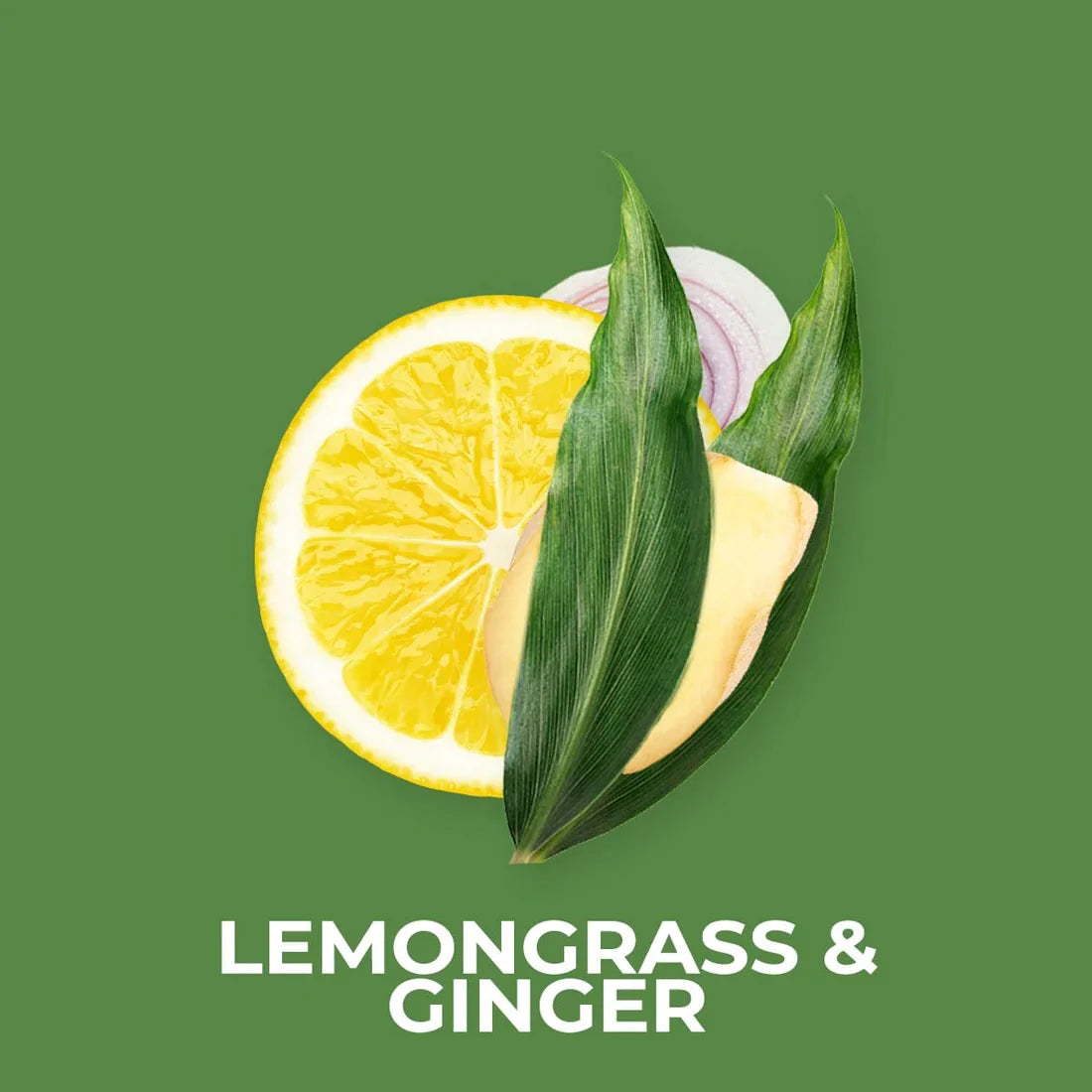Lemongrass & Ginger 50g Snap Bar