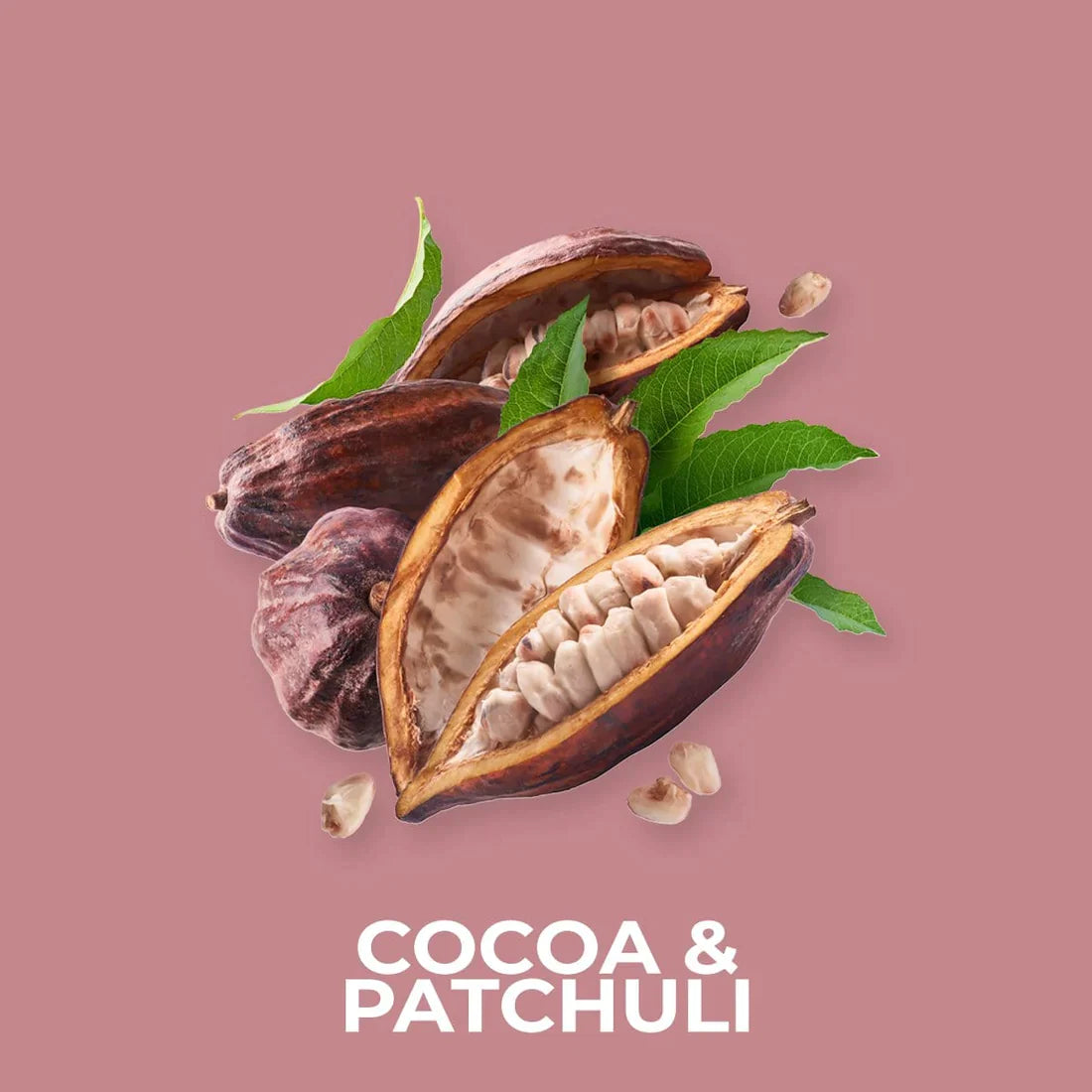 Cocoa & Patchouli 50g Snap Bar