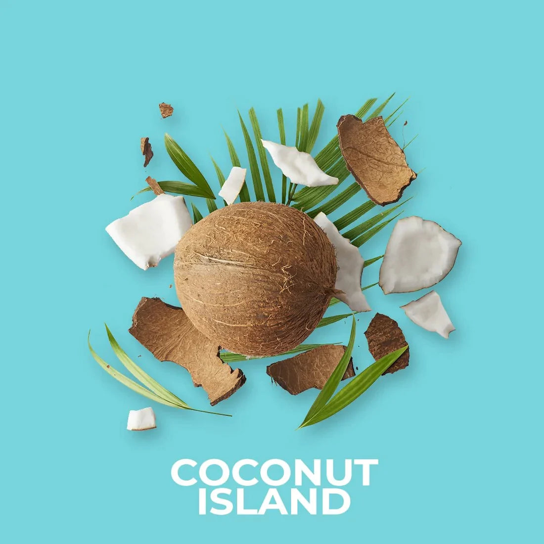 Coconut Island 20g Shot Pot