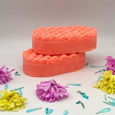 Soap Sponges