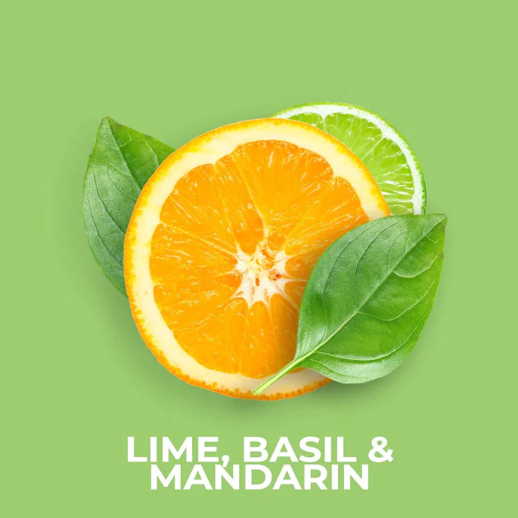 JM Lime, Basil & Mandarin 20g Shot Pot