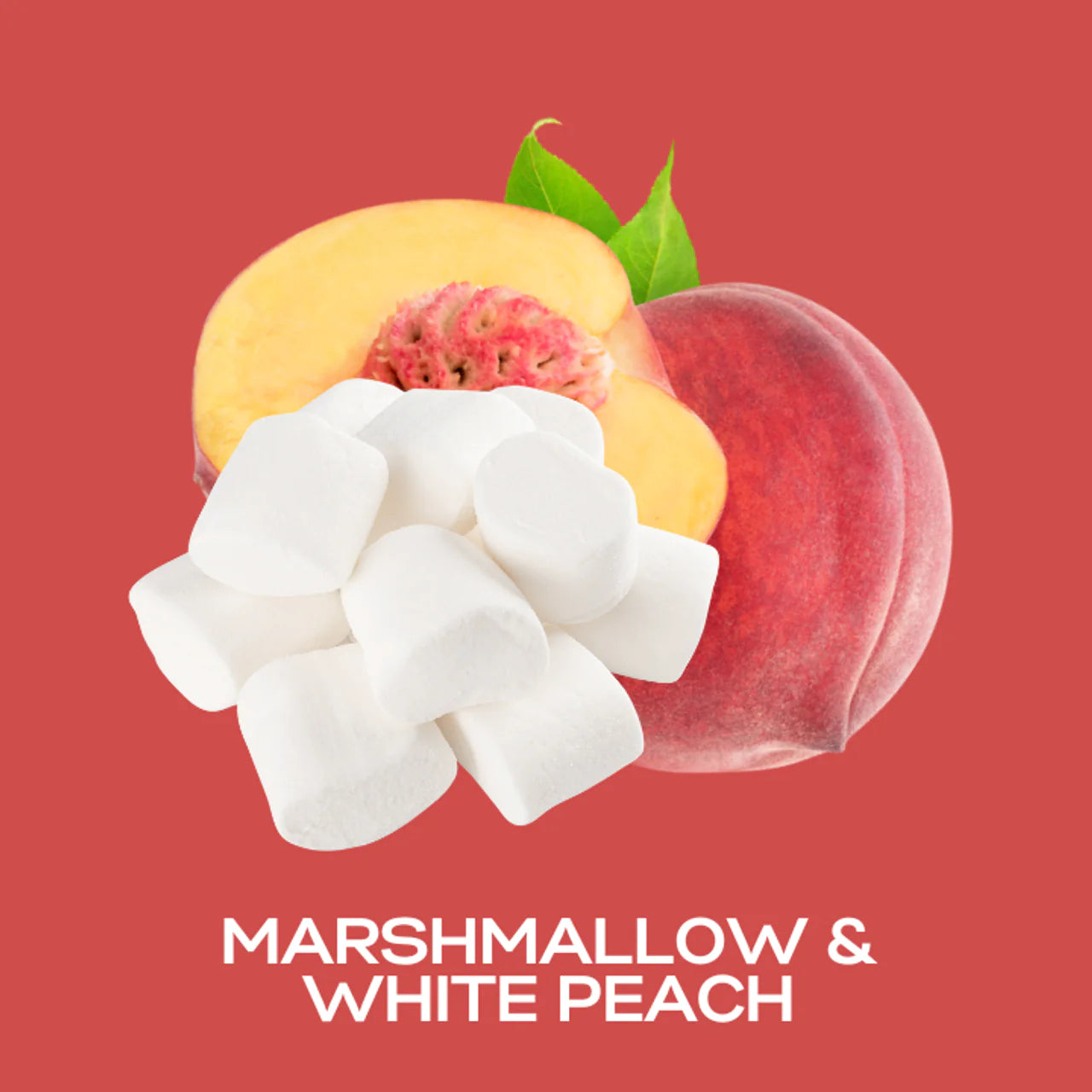 Marshmallow & White Peach 20g Shot Pot