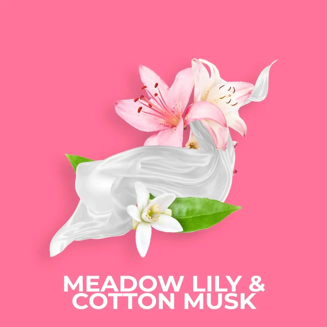 Meadow Lilly & Cotton Musk 20g Shot Pot