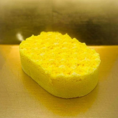 Soap Sponges