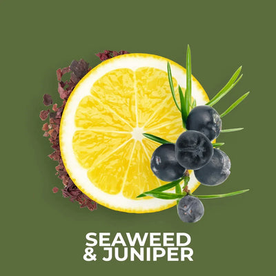 Seaweed & Juniper 20g Shot Pot