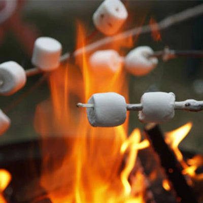 Toasted Marshmallow 20g Shot Pot