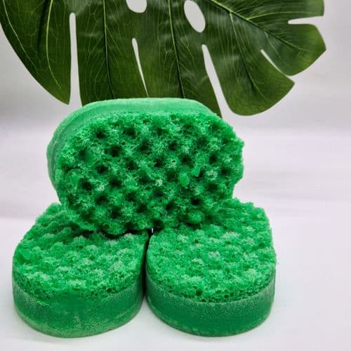 Soap Sponges